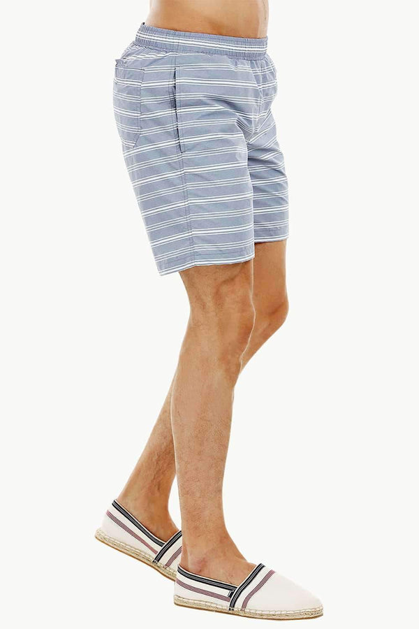 Mens Grey Stripe Quickdry Swimshorts